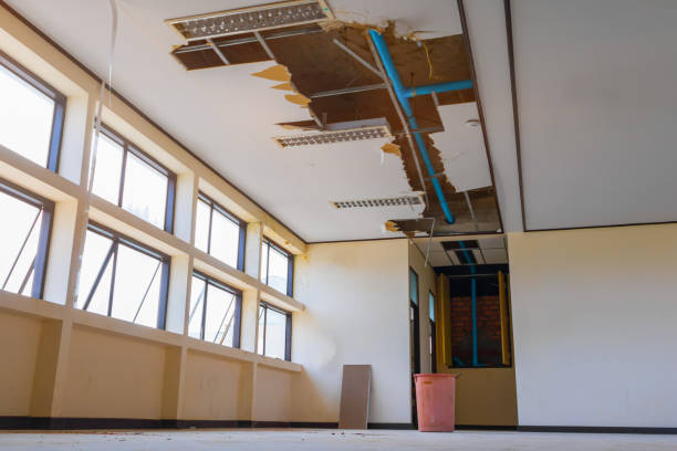  Bryant, WA Water damage restoration Pros