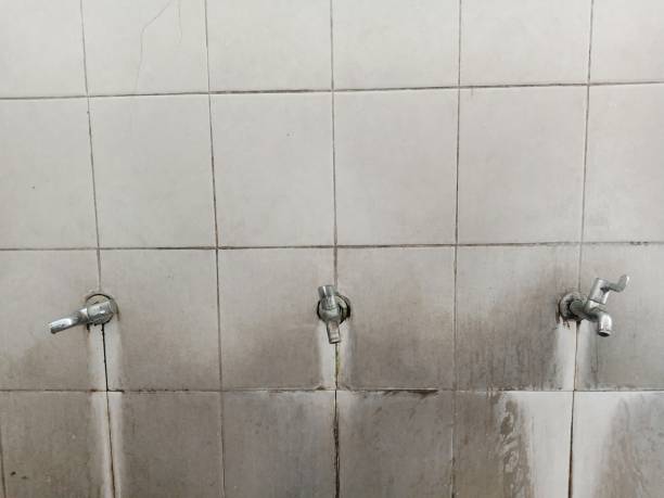 Best Sewage cleanup and water damage restoration  in Bryant, WA