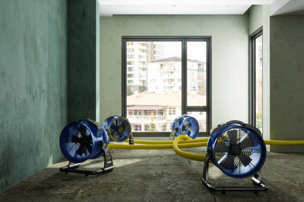 Best 24/7 water damage repair  in Bryant, WA